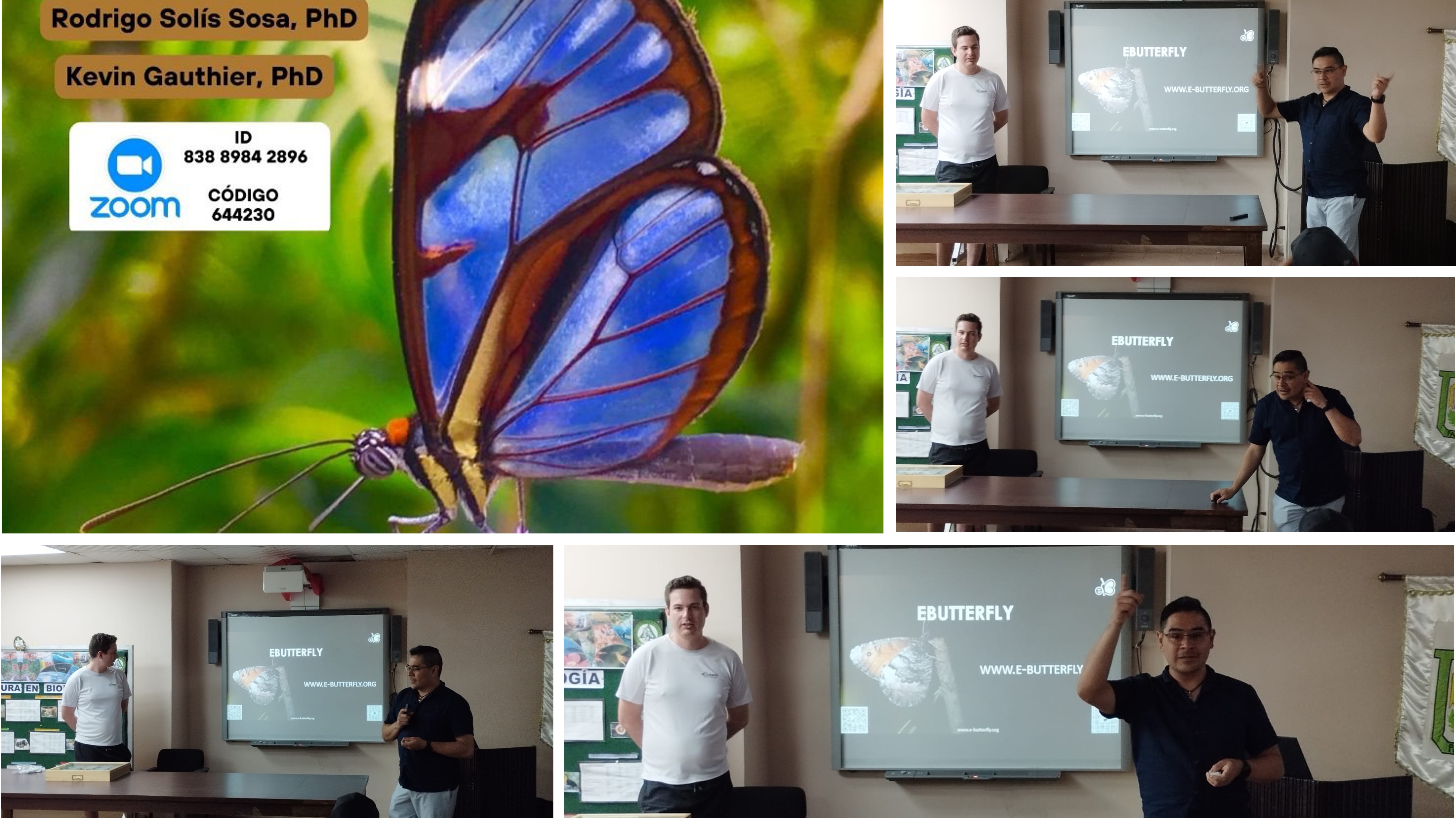 CONFERENCIA MARIPOSAS 2024